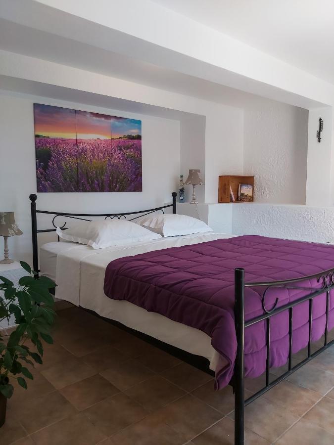 Etoilevacances Chambres d hotes Campagne en Lavande Saint-Cézaire-sur-Siagne Extérieur photo