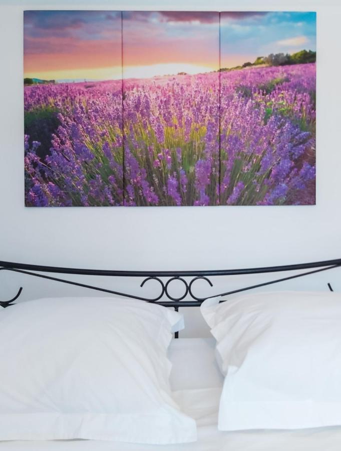 Etoilevacances Chambres d hotes Campagne en Lavande Saint-Cézaire-sur-Siagne Extérieur photo